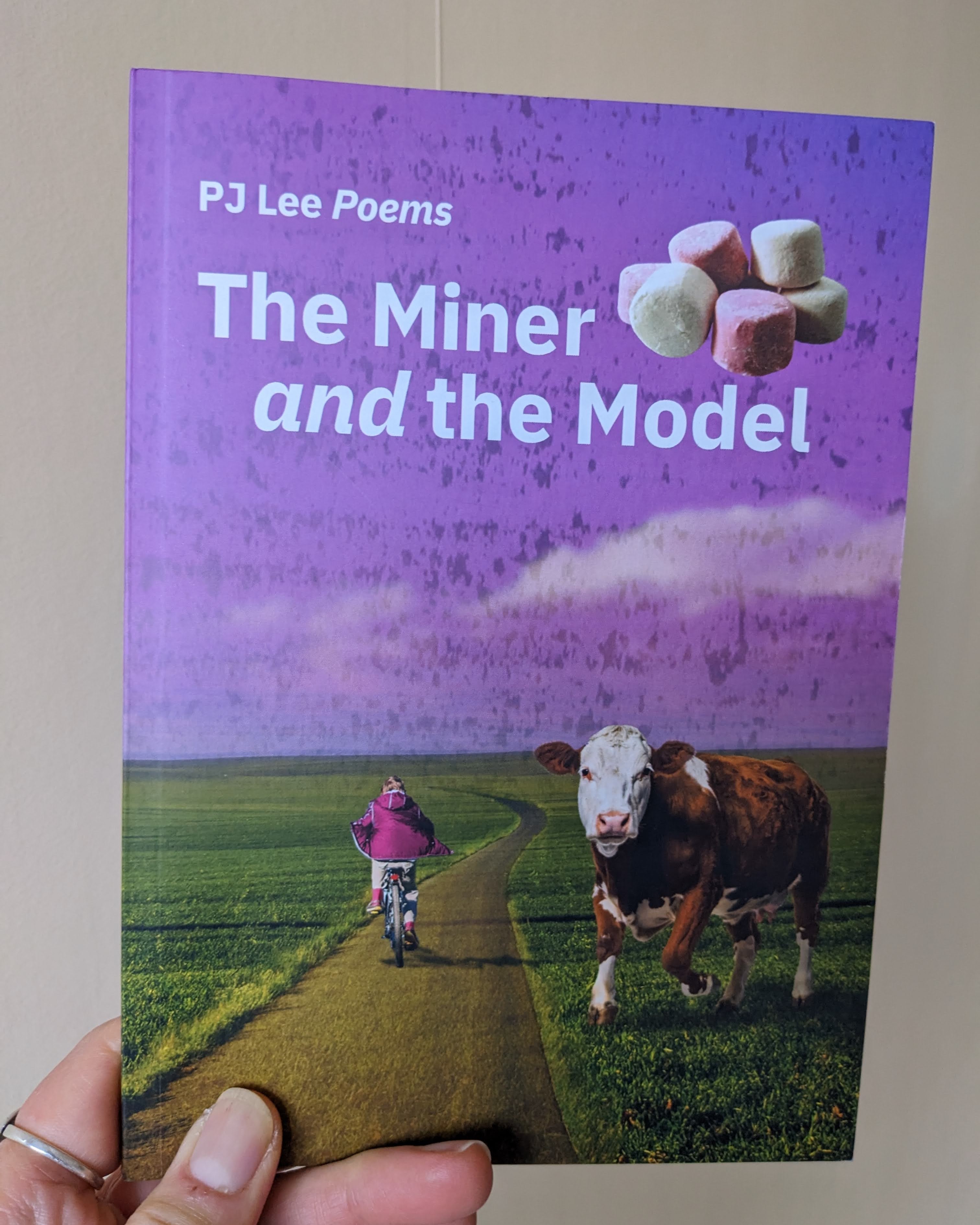 cover of poetry book edited by Jackson, The Miner and the Model by PJ Lee