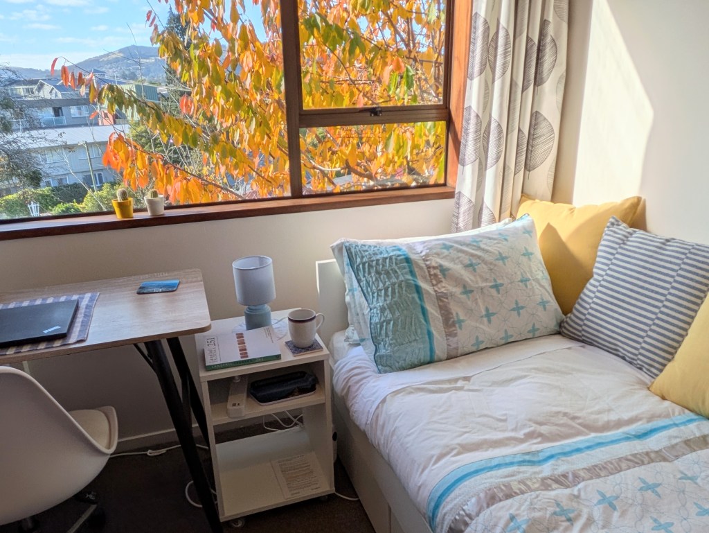 View of private single room showing daybed, desk and lovely view